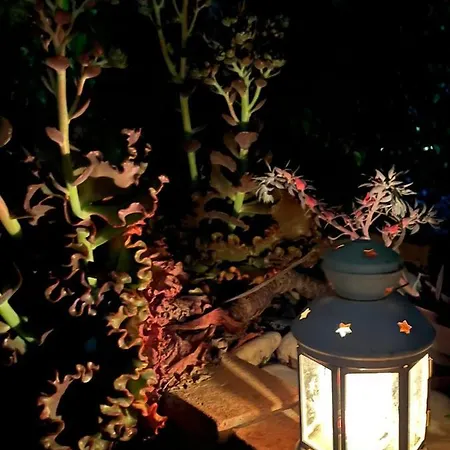 Casa Hermosa ゲストハウス *